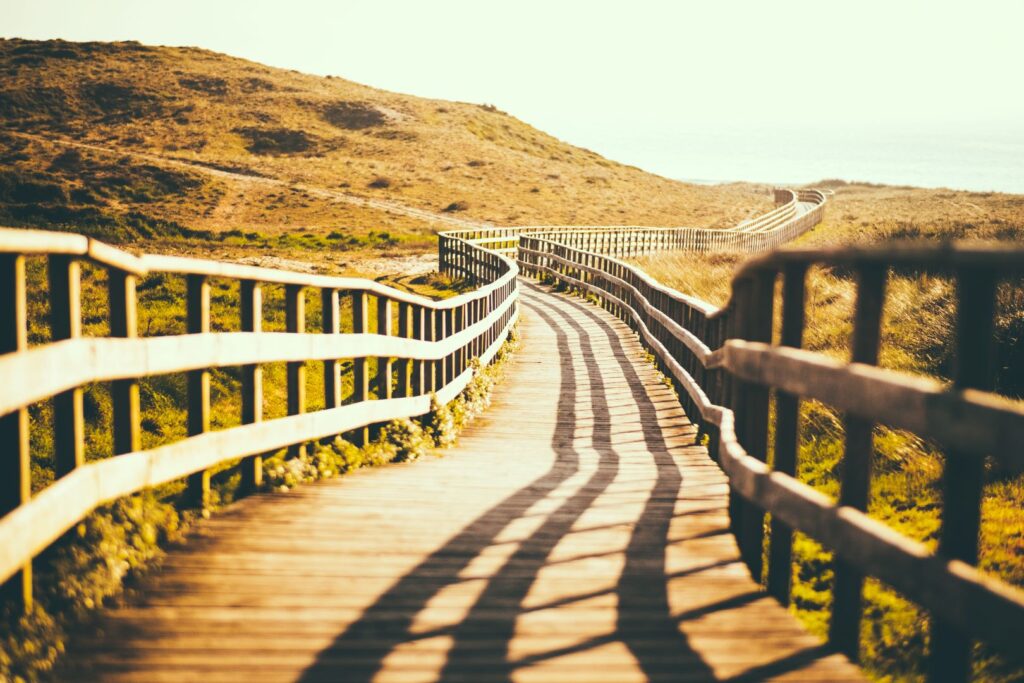 An Empty Wood Path Original 1233767