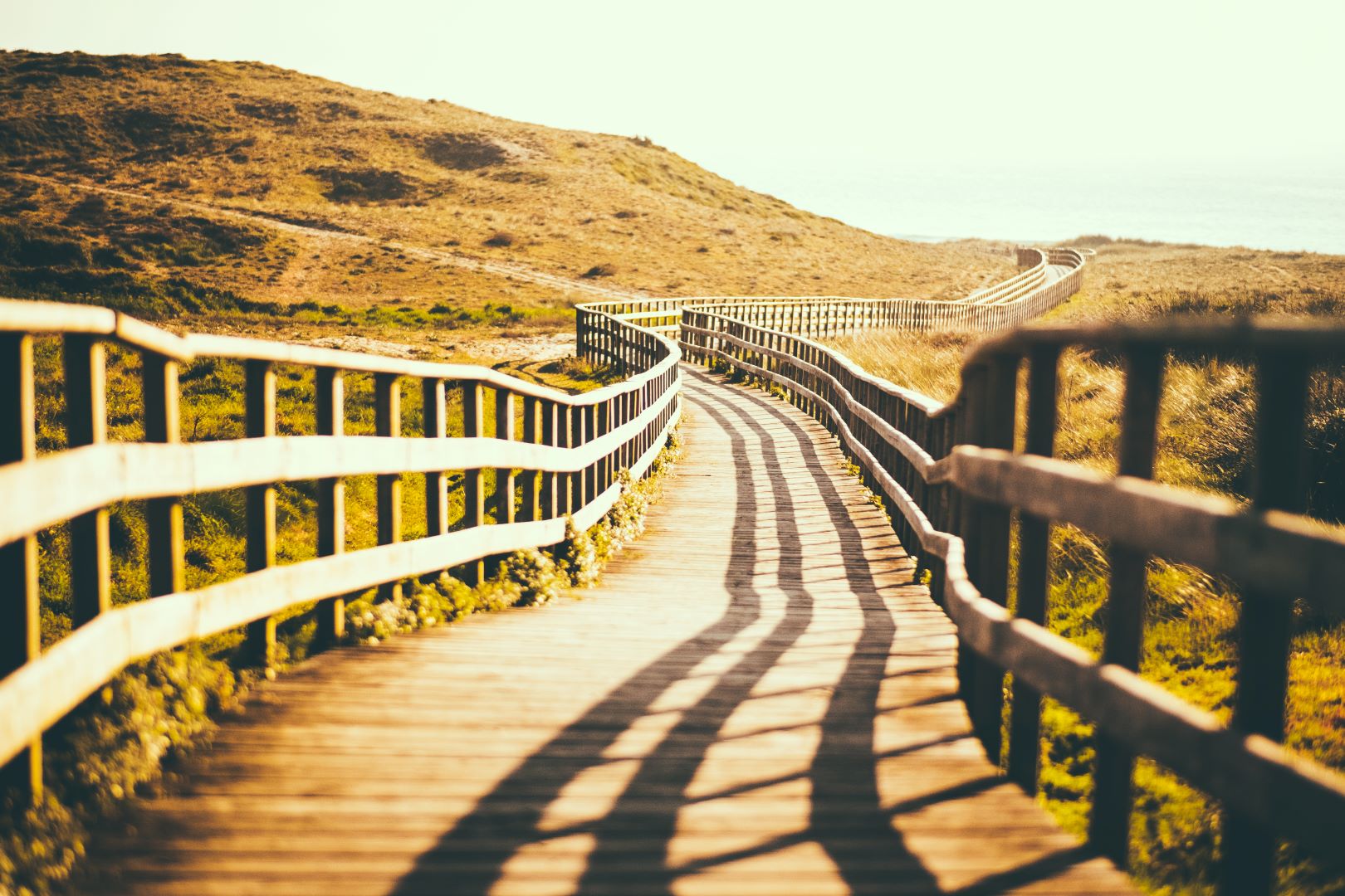 An Empty Wood Path Original 1233767