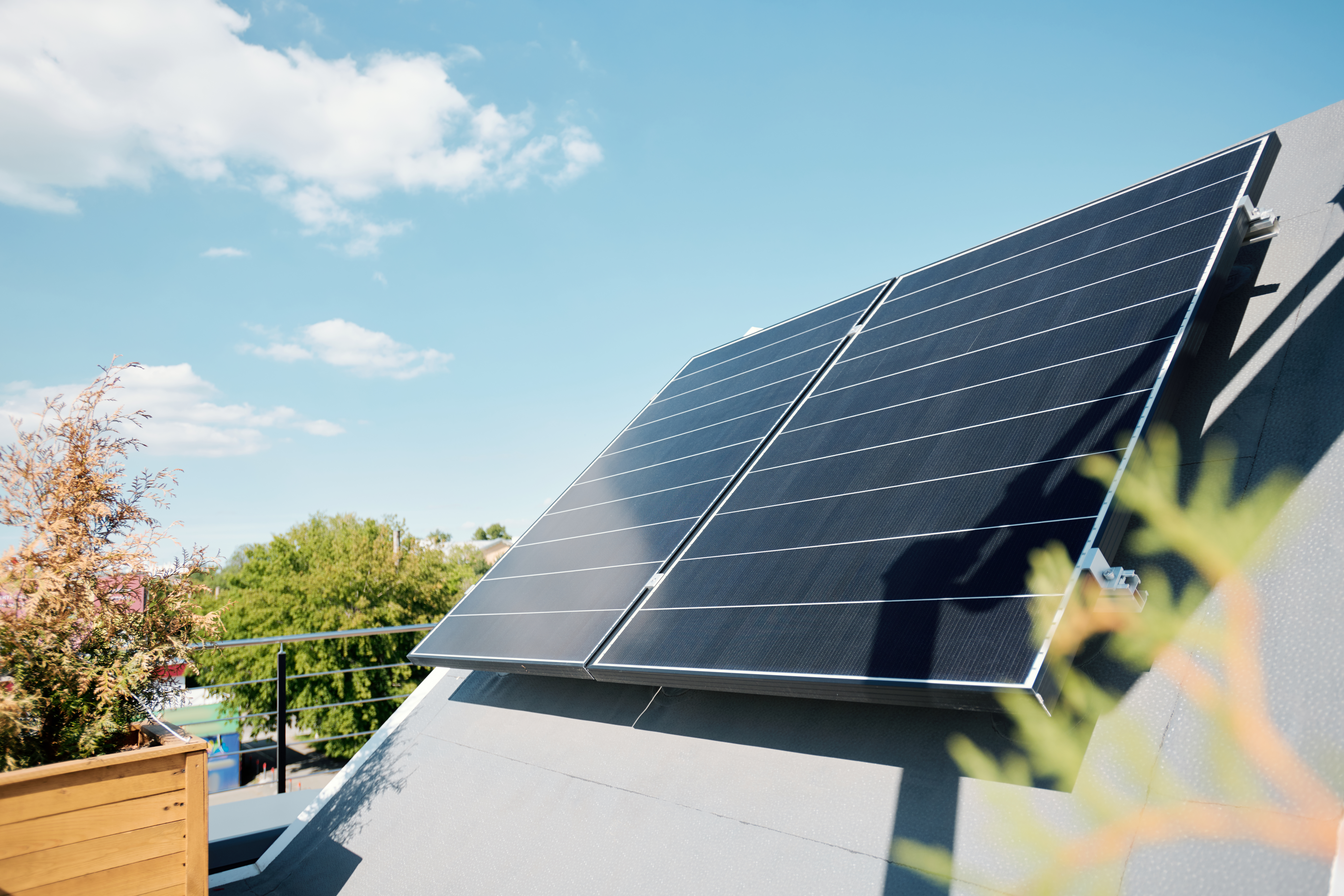 Large Solar Panels Original 449173